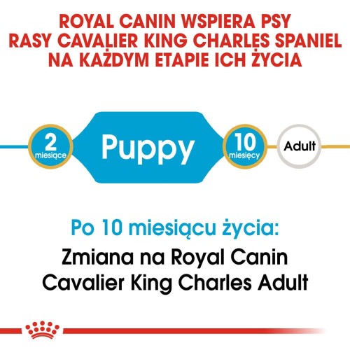 4cfc8e2f4dd3e59ef49cad1b13377641