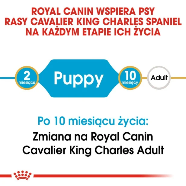 4cfc8e2f4dd3e59ef49cad1b13377641