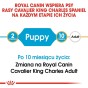 4cfc8e2f4dd3e59ef49cad1b13377641