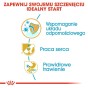 394d40ce49288b448b451ea444fbd1c9