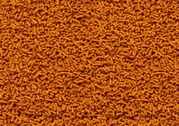 0999f9b7ec9389fa01da4b7e0e073a13