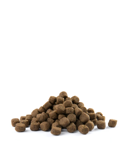 4ee6193e0f182ecccfa1024d76b3c193
