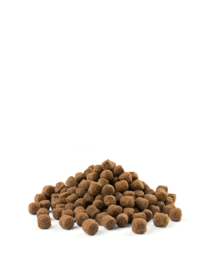 c8d65dfc563693844c05674f2327e742