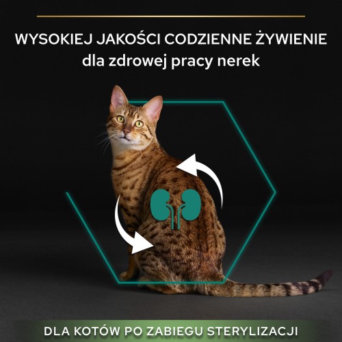 d88f9e03c6427e8f3b64ba807ee7afd1