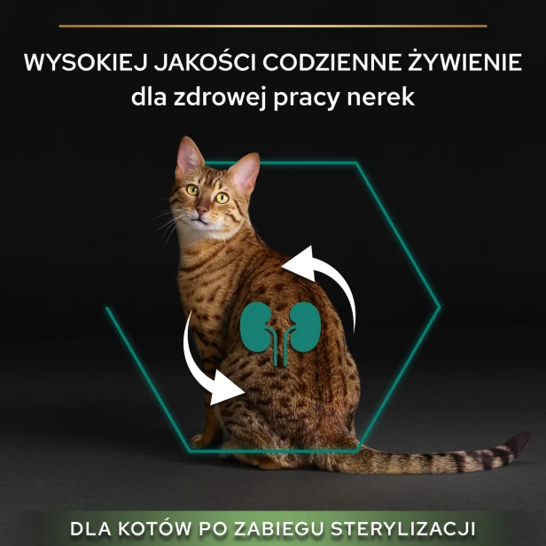 d88f9e03c6427e8f3b64ba807ee7afd1