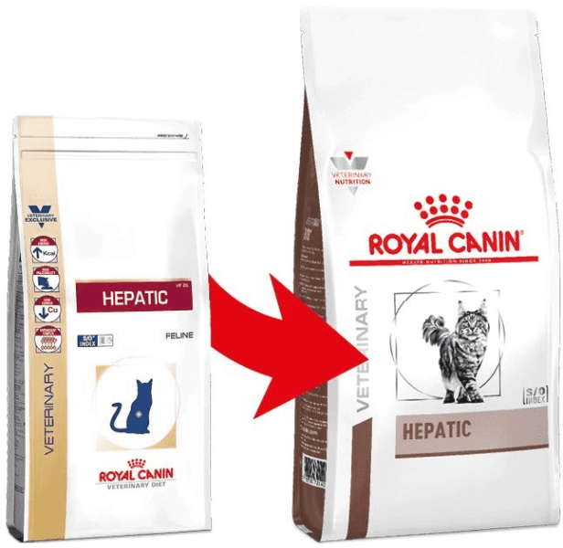 98ddad3eb0e6734b19024962b89a6d09