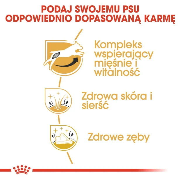 1c1b6c39881132fb6475610fb22871e1