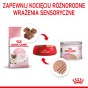 afb3e887274e5e833aee0a3520d54122