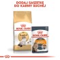 ee1bb92fafa35ec00dc53637126136f6