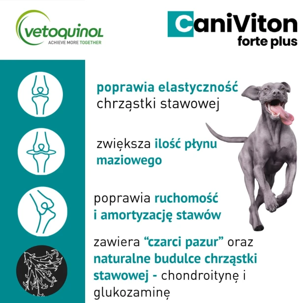 882e5d4d020ac075c599fd223654de7d