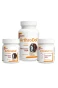 56a32c8651191a509b8b619c04e24123