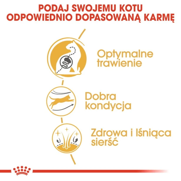 dd80315c78c049872ad48eabfa54a84d