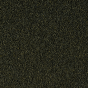 85dc818988c88045e41e9fd55b979db1