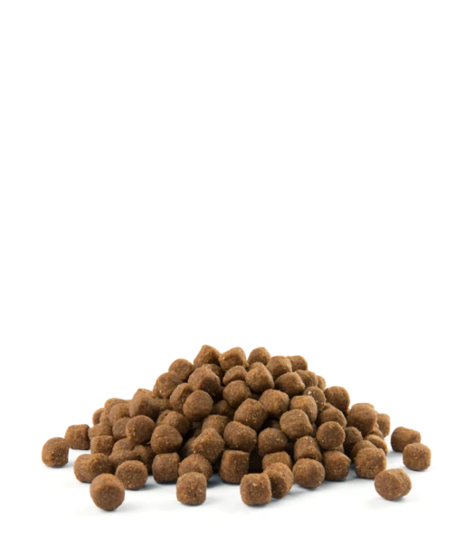 2e0d7e12b9a655041118977d8008cbe9