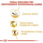 53d7dac62ae598e1e506f19f5ae458a1