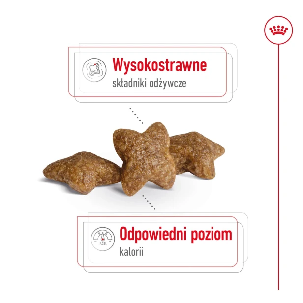 04396a5d6190dd689a6df0f354b833ea