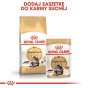 6624095be41a80b1f53adafaadaae0c6