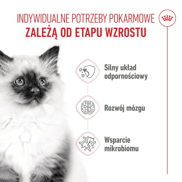 29e605083f9d482f83d9b71f8a812563