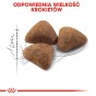 4d0eec94402e0f7afeb87afcbd17a4b2
