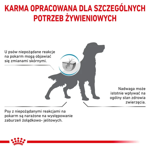 69fddfb036cf5cbffb3026c1491c98bb