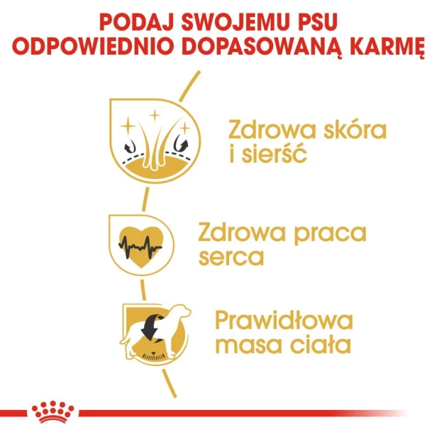 c582c0813aa490b0c93a7317ce7c2feb