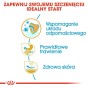 cff0032f88d847d22de145d9dc416e64