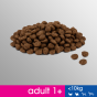 a83f95312688bd0f949e59e18eb8ae42