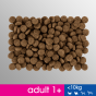 b9a457f2e3a48d5e5cdbbcc6fae74dea