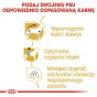 3195b9eb3a124bd8be1066c3a5403fab