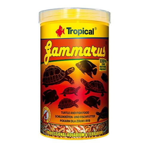 7cd4bd9c37b7317d2fa2779e3466bb0b