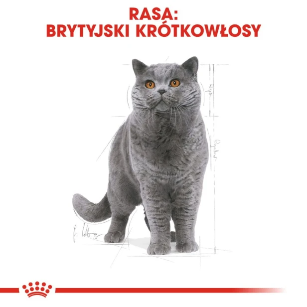 fb43353bec83f79c1b907789d813f2ae