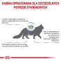 f34cccefabd04446be090aeb8cbcbbb2
