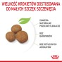 3f7361efb7e2c8748d82cfb62bf84c91