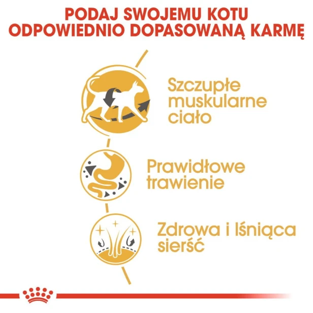 aa06866c8f34b001fbcecd4217fbc3ad
