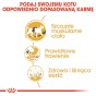 aa06866c8f34b001fbcecd4217fbc3ad