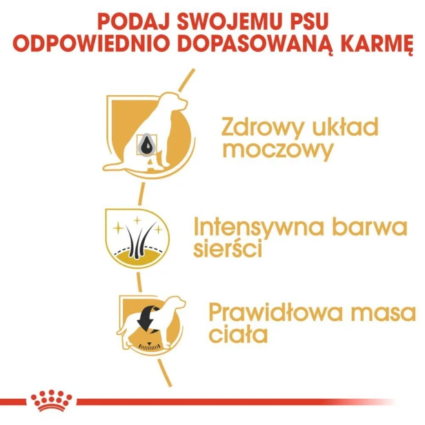 0c5796b735b82e116d7c420db5dd3f2f