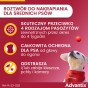 25ca2e772f56a40483ad832c9c3fb244
