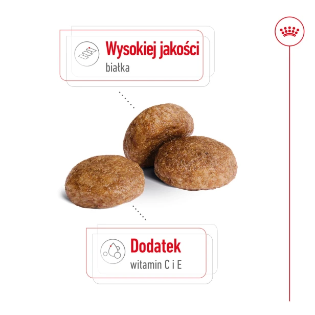 0605155f9ff8f5c5f99685d00ed4929e