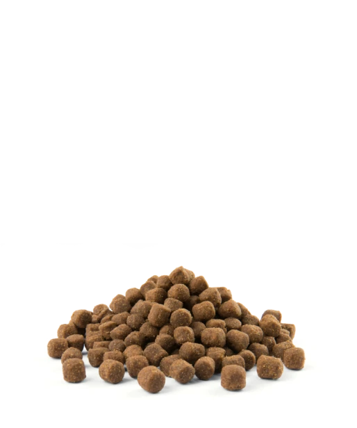 45fa380321191ff664cc4df116a205b6