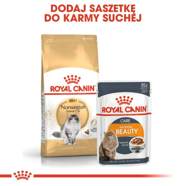 0fd87a3d82055ae53148445a156e8e11
