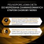 33adb29145364832cb68199f205eb396