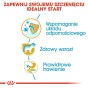 812a26d5354cd7cc5d5bc80f3e233ee2