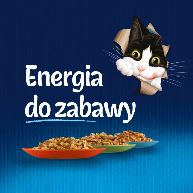 42213dc1ee7651fb360d7f90cdb4655a