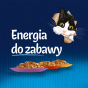 44ea190dba6950b583f346b831fed7b8