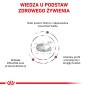 bdebe5367f10252538129196c0dcd6cf