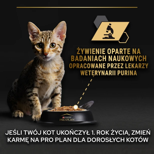d0f9eeffa3d9891c39b835d40b081915