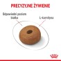 d4ed555339b83759889d1a1a00baa5d9