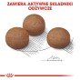 02bea73b7a538be214fdbf3ff6d8af3c
