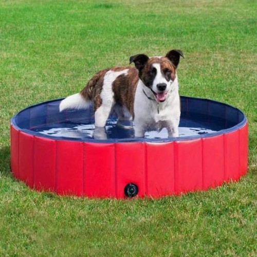 5c41e8d036e6bf6d05112a3176c9b99a