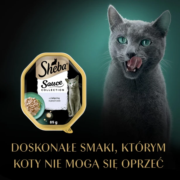 ed6dab7d7c72119fbaeda1152c76cfea